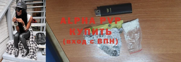 дживик Пересвет
