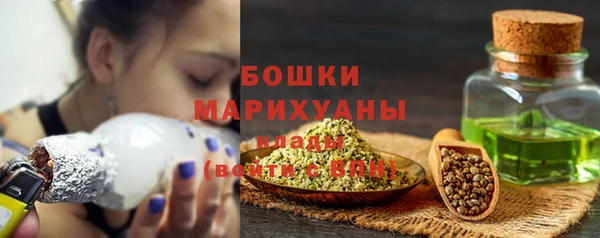 ПСИЛОЦИБИНОВЫЕ ГРИБЫ Пестово