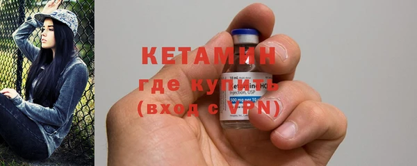 дживик Пересвет