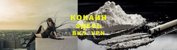 прущие грибы Абинск