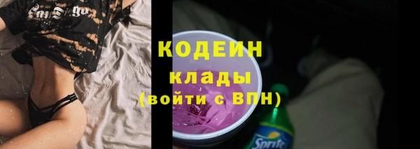 прущие грибы Абинск