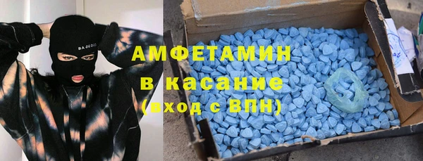 прущие грибы Абинск