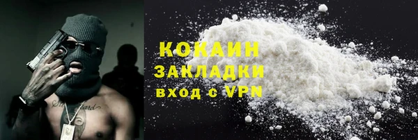 прущие грибы Абинск